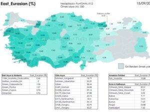 DNA analysis of Turkish ancestry